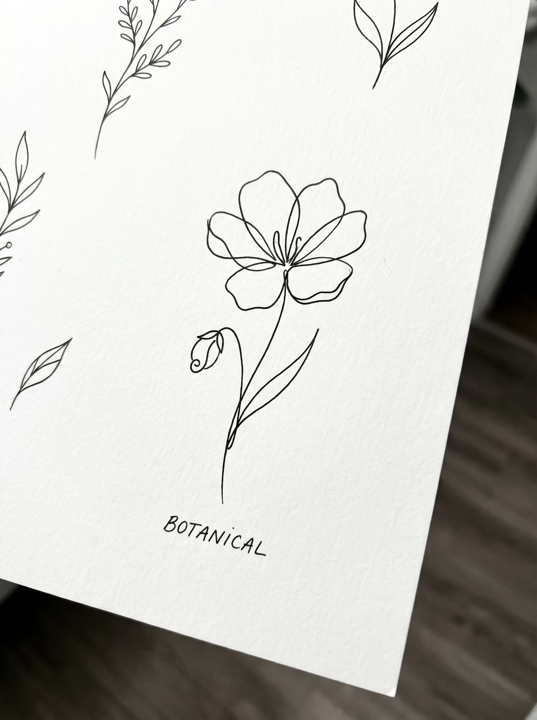 Bloom 04 — minimal line flower